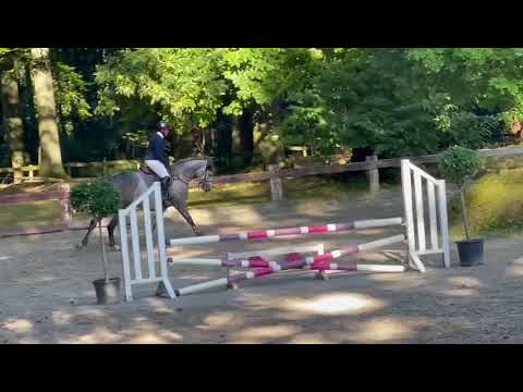 ILANA HOF TER BRUGGEN Z