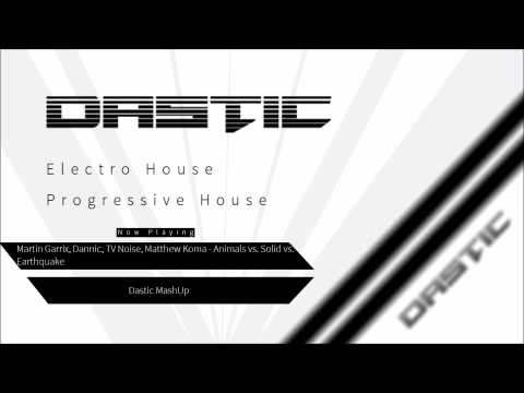 Martin Garrix, Dannic, TV Noise, Matthew Koma - Animals vs. Earthquake vs. Solid (Dastic MashUp)