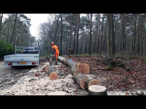 Brandhout zagen en afvoeren