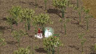 a fugitive criminal/유럽소마신화전기/rachel/pk