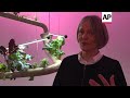 Historical Nobel Laureates Live On At New Exhibition