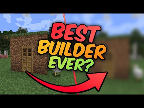 The Best Minecraft Builder?