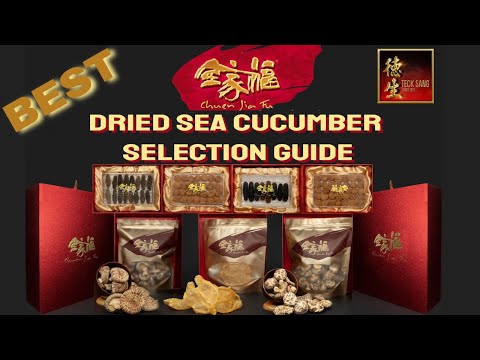 Best dried Sea Cucumber Selection Guide with Top Sea Cucumber selection tips and insights. Quality!