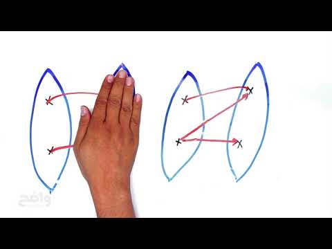 فيديو تعليمي