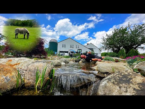 WE BUILT A KOI POND IN A HORSE FARM?!