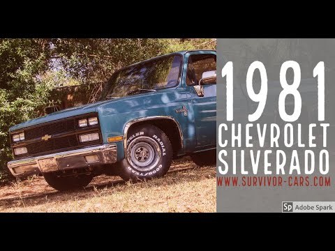 1981 Chevrolet Silverado (CC-1379658) for sale in Palmetto, Florida