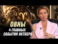Овны Октябрь 2024: Таймкоды к прогнозу отношений и партнерства
