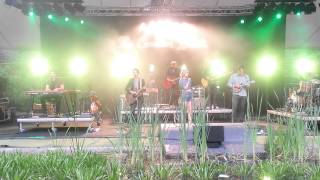 The Common Linnets - Better Than That