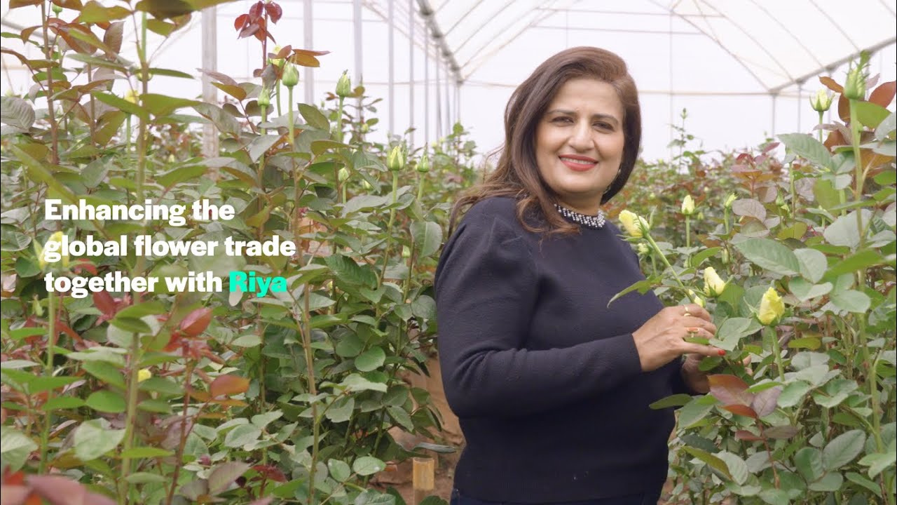 video Samen met Riya de wereldwijde sierteelt optimaliseren