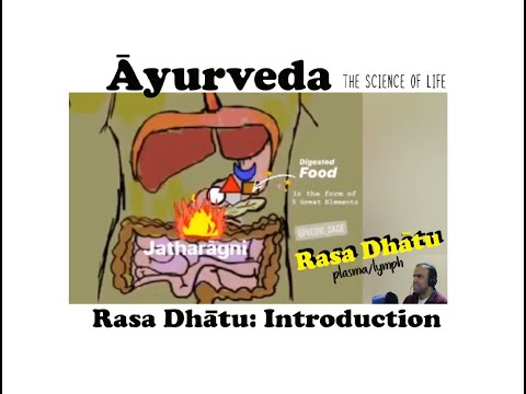 Ayurveda: Introduction To Rasa Dhatu - YouTube