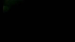 Mercury Rev - Chasing a Bee