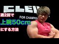 週2回で上腕50cmにする方法