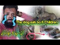 The Dog Eat To 6 Children Vlog 98 Malik Hameed Vlogs