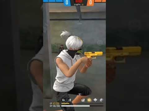 ฟีฟาย