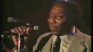 The Rolling Stones &amp; Muddy Waters - Champagne &amp; Reefer (Live)