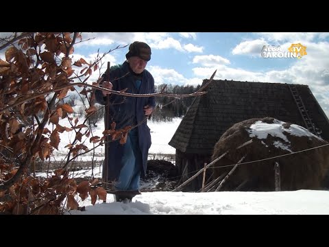 De 10 ani, SINGUR , în creierii munților