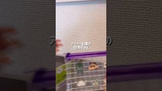 #暮らしチャンネル #主婦 #生活音asmr #ルーティン #日常vlog #生活音asmr