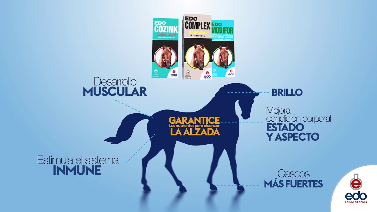 BOMBA DE CRECIMIENTO EDO