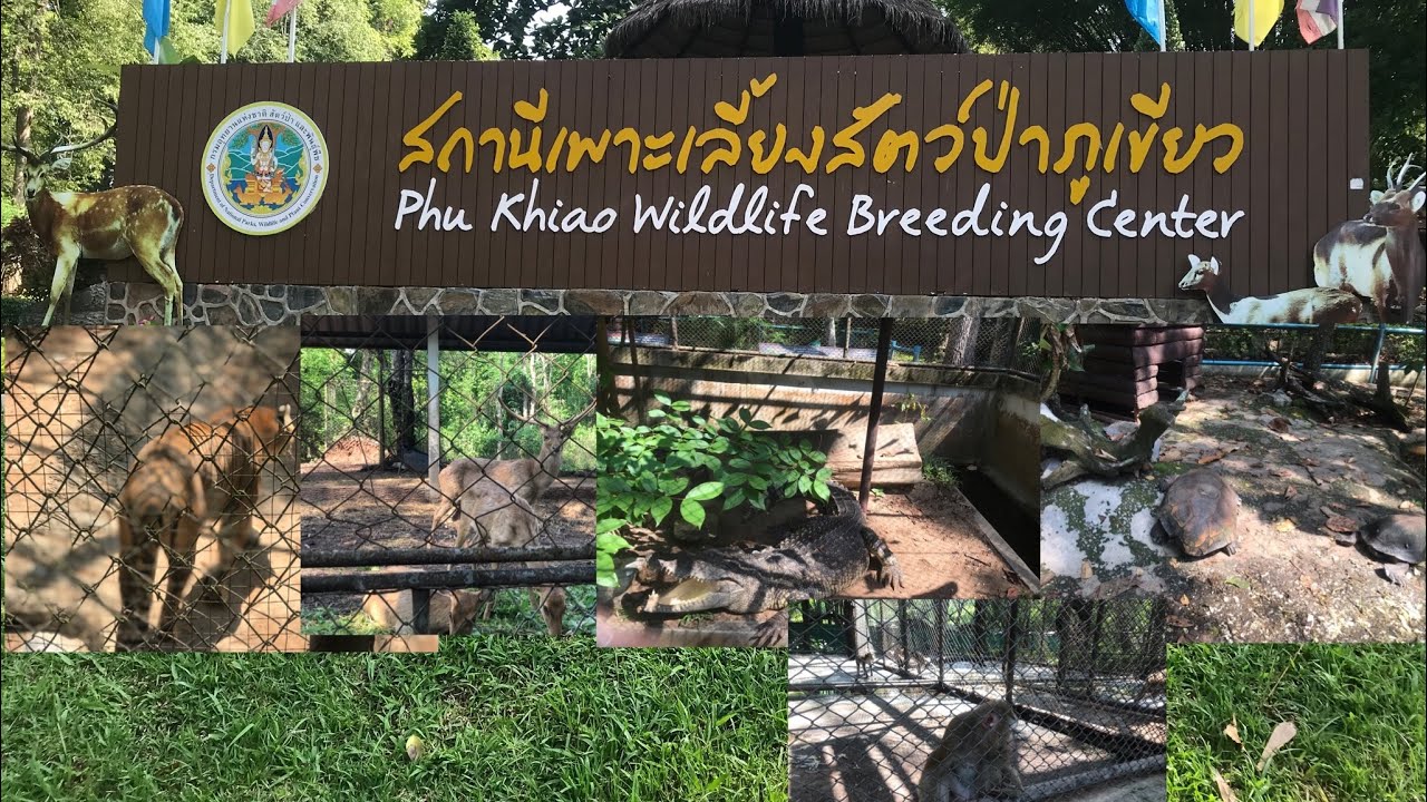 Phu Khiao Wildlife Breeding Research Station