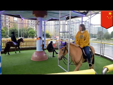 Fake Chinese merry-go-round uses real horses - TomoNews