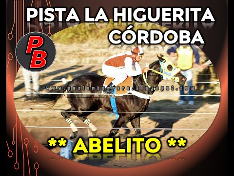 ABELITO, PISTA LA HIGUERITA (22-05-22)