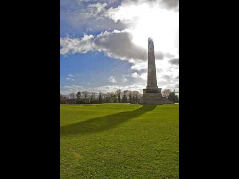 Irish Descendants - Shamrock City