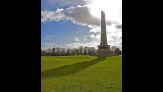 Irish Descendants - Shamrock City