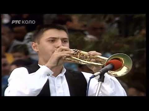 Orkestar Dragana Ignjica 2000