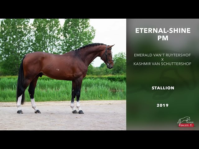 Eternal-Sunshine PM