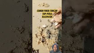 Download lagu HOW TO FIND SEA CLOVERS #uniquefacts #clippers #short mp3