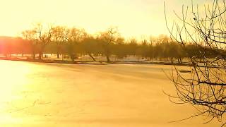 MARK KNOPFLER LIGHTS OF TAORMINA