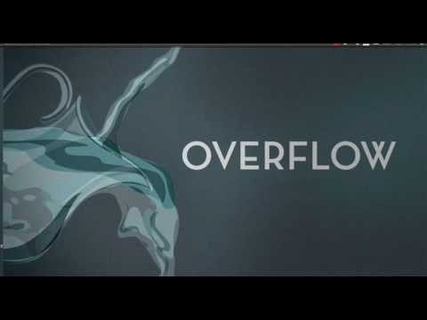 DVD X Player - Stack Buffer OverFlow + Bypass SEH