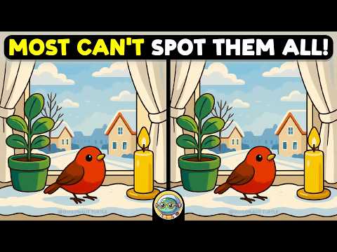 🐢🧩 Find The Difference | Are You Sharp Enough? 🧩🐢 | Quizonaut Turtle