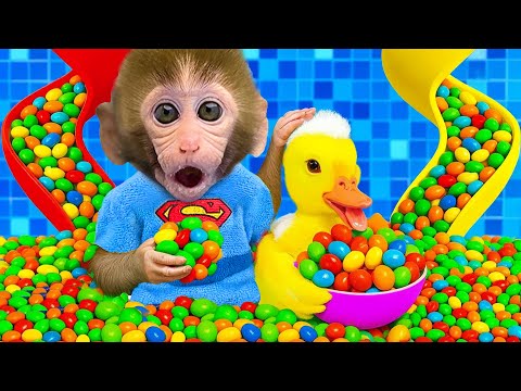 Bebé Mono BonBon va a la escuela con el patito y compra una pizza gigante - MONO BONBON ESP