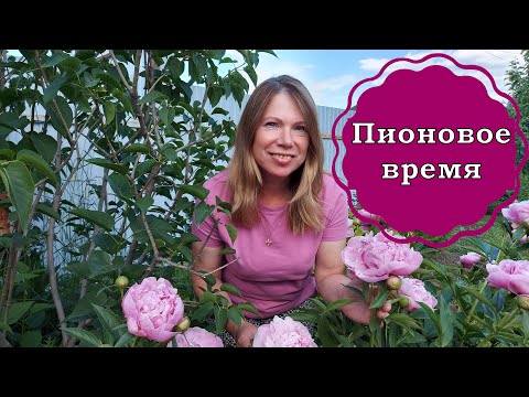 Началось время пионов! Мои пионы с названиями.