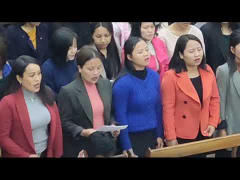 TLANGPUI KOHHRAN ZAIPAWL-VAN MI THIANGHLIM TEN