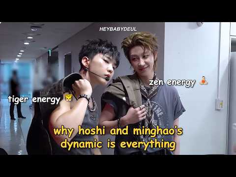hoshi and minghao’s dynamic is everything 🐯🐸