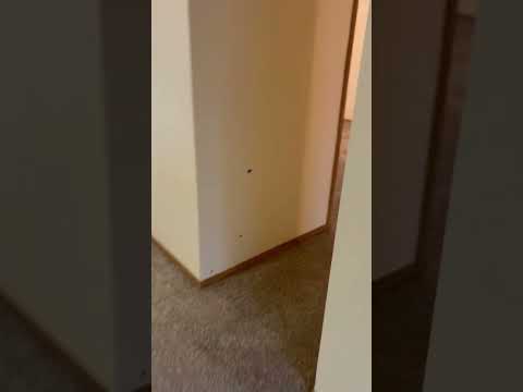 4325 W Camas St - Video 2 of 2