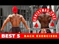 5 Exercise Back Workout for Mass