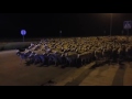 1000 sheep run loose in Spanish town as shepherd sleeps/ Un rebaño de mil ovejas invade Huesca