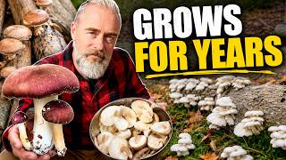 Grow Mushrooms for Years at Home