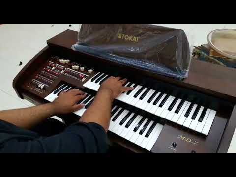 Orgão Eletrônico Tokai MD-7 - Loja Teclasom