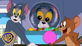 Download lagu Sugar RUSH! 🍬😵‍💫 | Tom & Jerry | #KidsCartoons @wbkids mp3