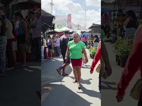 feira Livre de cacimbinha, Alagoas. sábados.