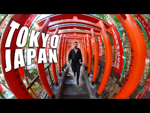 漫步東京最酷的神社｜360度全視角欣賞 (Walking Tokyo's Coolest Shrine | in Full 360)