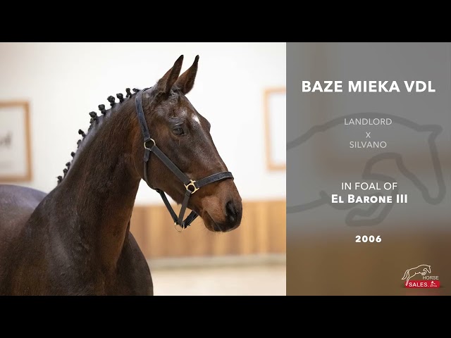 Baze Mieka VDL