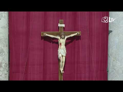 Izdvojeno 17.4.2019. - Audijencija pape Franje