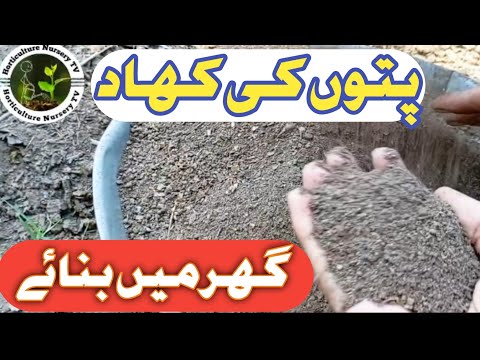 How to make Leaf Mould (Mold) the Easy پتوں کی کھاد گھر میں بنانے کا آسان طریقہ