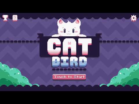 Cat Bird 视频