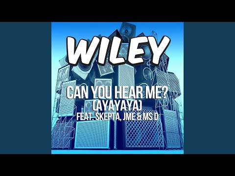 Can You Hear Me? (ayayaya) (feat. Skepta, JME & Ms D)